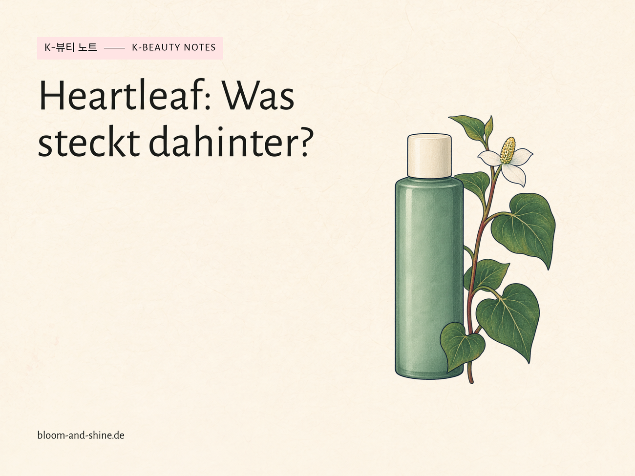 Heartleaf in der Hautpflege: Was ist Houttuynia Cordata?