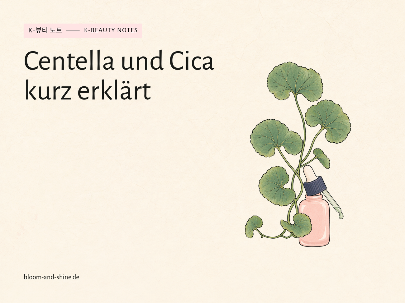 Centella und Cica: Zwei Namen für dieselbe Pflanze?