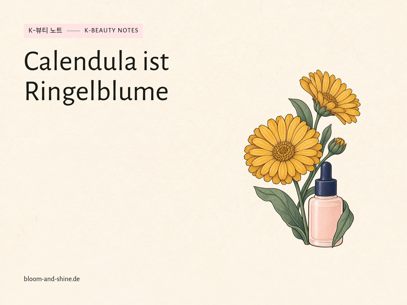 Ringelblume: Was bedeutet Calendula auf deiner Pflege?