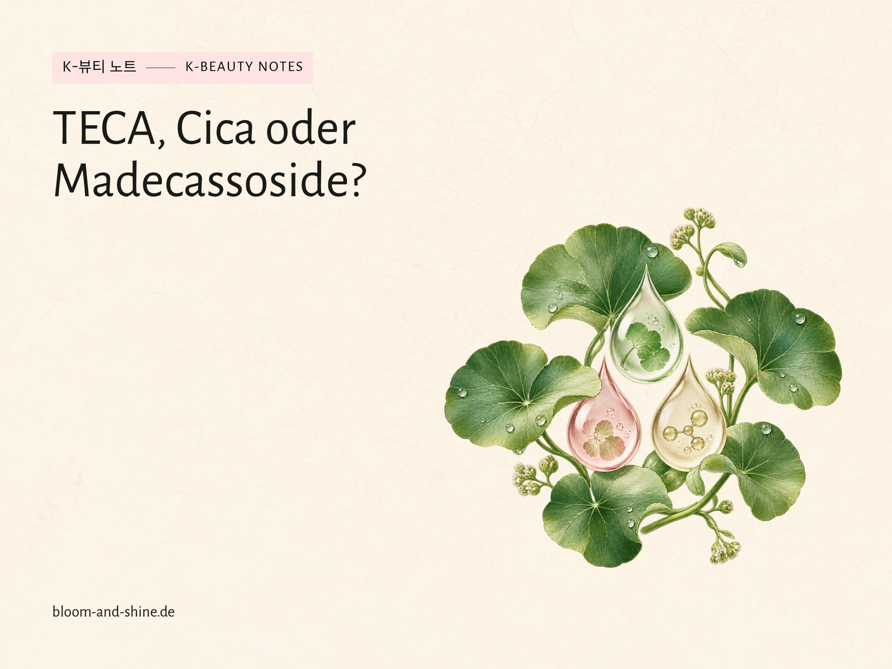 TECA, Cica und Madecassoside: Was ist der Unterschied?