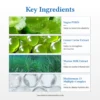 Dr. Althea Aqua Marine Watery Cream 50ml
