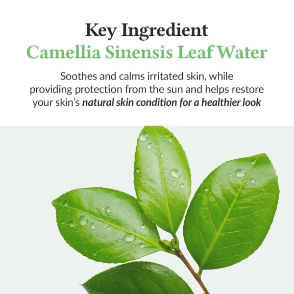 Dr. Althea Green Tea Fresh Sunscreen Dr. Althea Green Tea Fresh Sunscreen