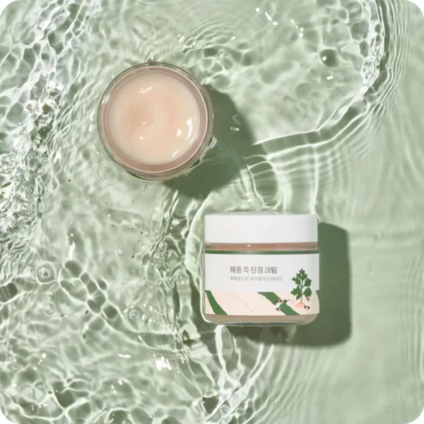 Round Lab Mugwort Calming Cream Round Lab Mugwort Calming Cream