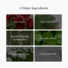Dr. Althea Oasis Soothing Mask Dr. Althea Oasis Soothing Mask