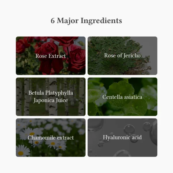 Dr. Althea Oasis Soothing Mask Dr. Althea Oasis Soothing Mask