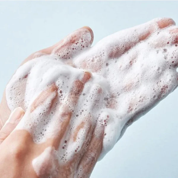 Round Lab 1025 Dokdo Cleanser