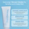 Etude House Soon Jung ph 5.5 Foam Cleanser