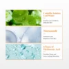 Dr. Althea Vitamin C Boosting Serum Dr. Althea Vitamin C Boosting Serum