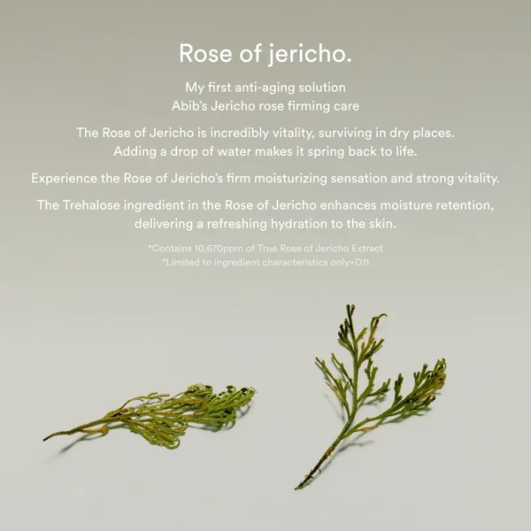Abib Jericho Rose Collagen Pad Firming Touch Abib Jericho Rose Collagen Pad Firming Touch