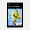 Abib Gummy Sheet Mask Sedum Hyaluron Sticker Abib Gummy Sheet Mask Sedum Hyaluron Sticker