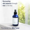 Pyunkang Yul Mist Toner 100ml