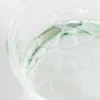 Beauty of Joseon Green Plum Refreshing Toner: AHA + BHA