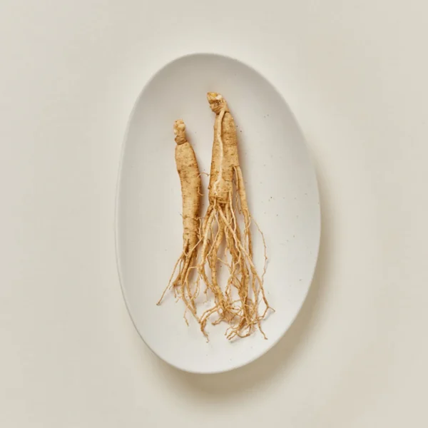 Beauty of Joseon Ginseng Moist Sun Serum (SPF 50+ PA++++)