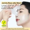 Abib Collagen Gel Mask Jericho Rose Jelly 10 Stück