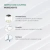 Anua Heartleaf 70% Intense Calming Cream