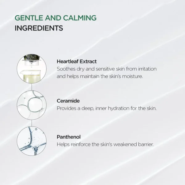 Anua Heartleaf 70% Intense Calming Cream