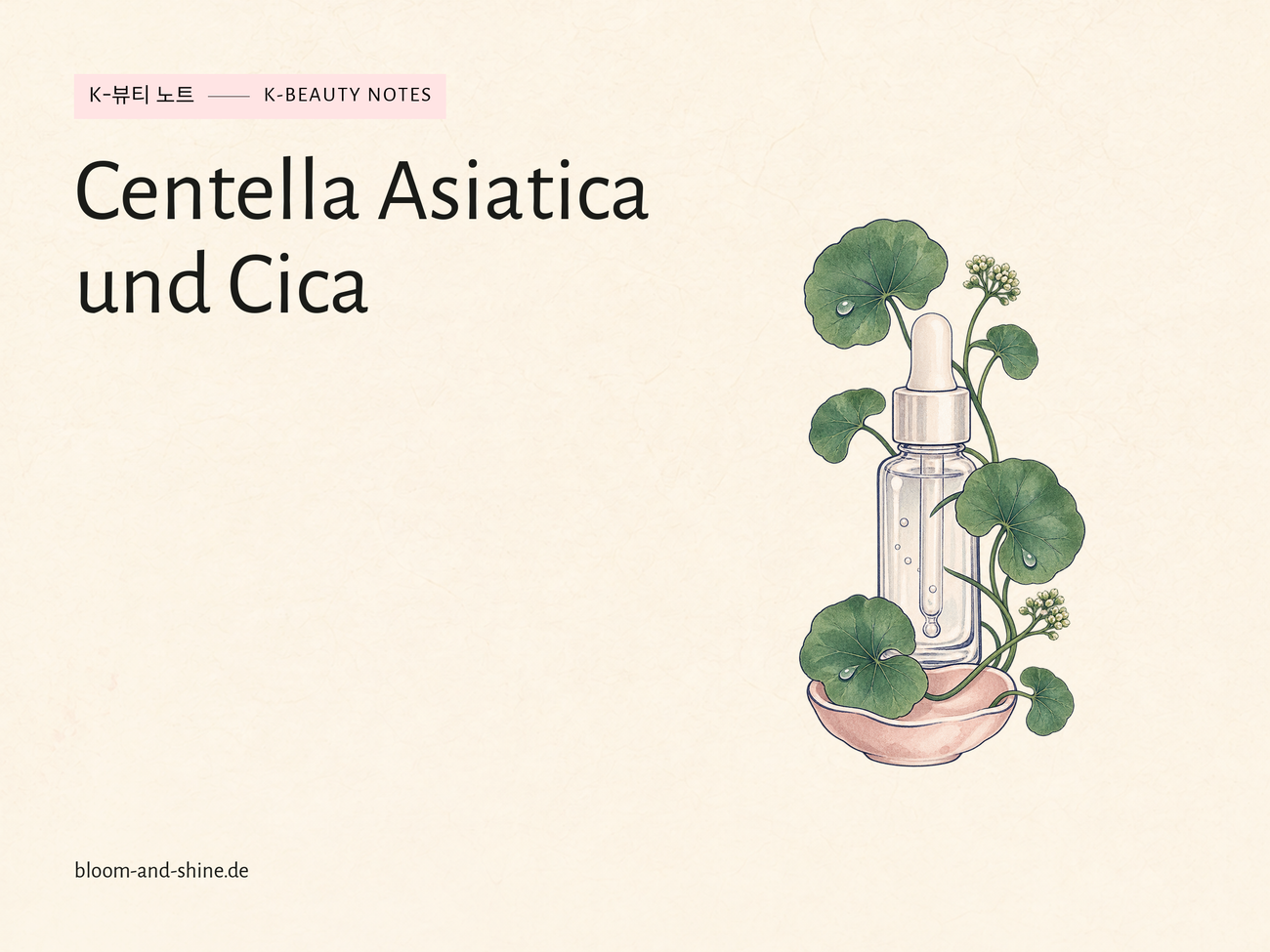 Centella-Serum auswählen: Cica und Ampullen verständlich erklärt